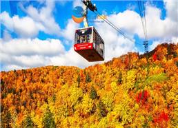 [HCM] Tour Nhật Bản Khám Phá Hokkaido Mùa Thu 6N5Đ
